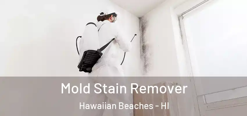  Mold Stain Remover Hawaiian Beaches - HI