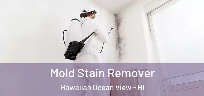  Mold Stain Remover Hawaiian Ocean View - HI