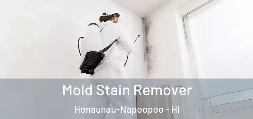  Mold Stain Remover Honaunau-Napoopoo - HI