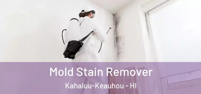  Mold Stain Remover Kahaluu-Keauhou - HI