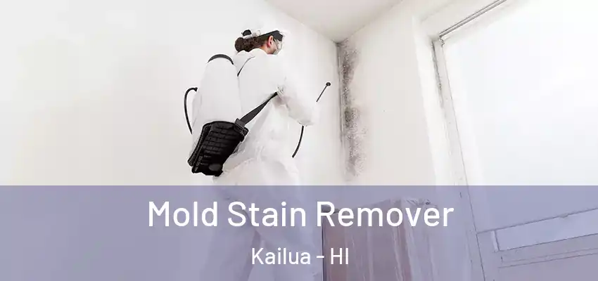  Mold Stain Remover Kailua - HI