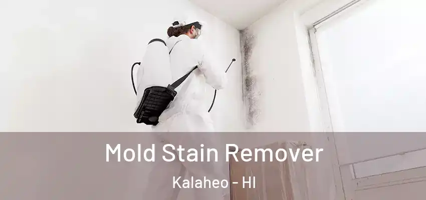  Mold Stain Remover Kalaheo - HI