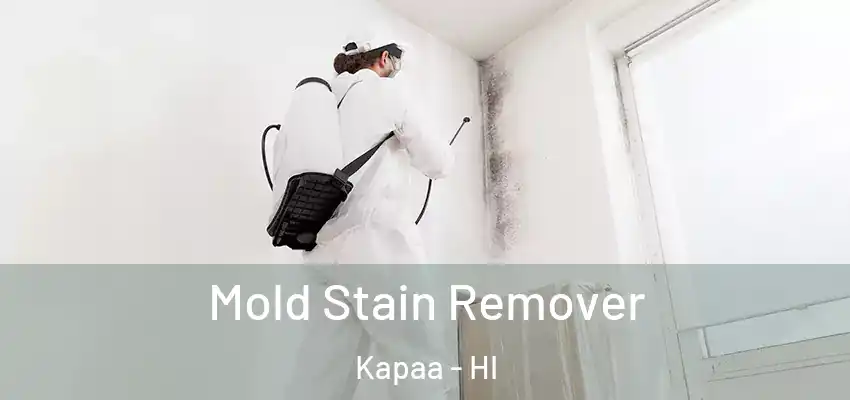  Mold Stain Remover Kapaa - HI