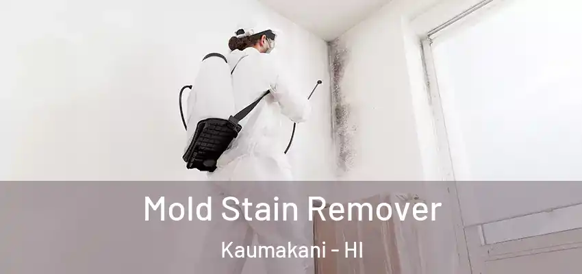  Mold Stain Remover Kaumakani - HI