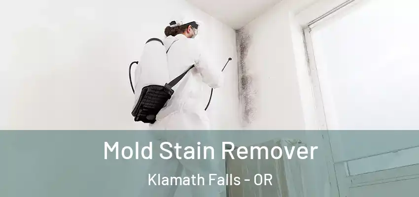  Mold Stain Remover Klamath Falls - OR