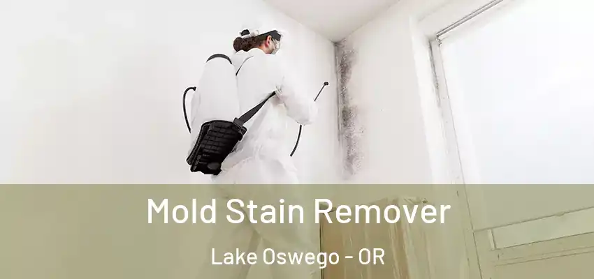Mold Stain Remover Lake Oswego - OR