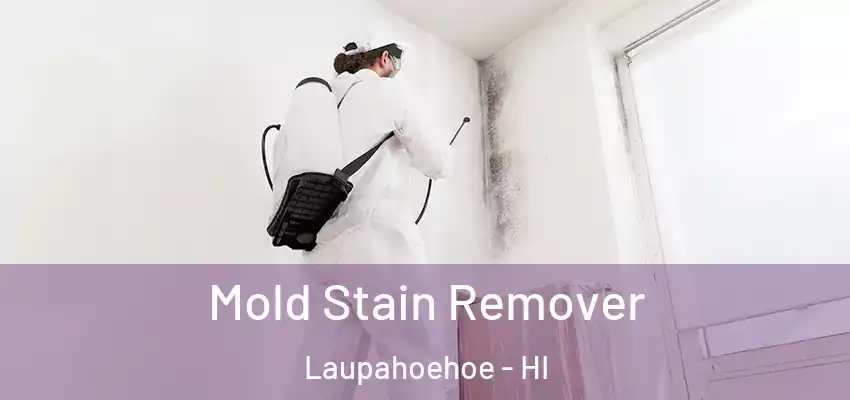  Mold Stain Remover Laupahoehoe - HI