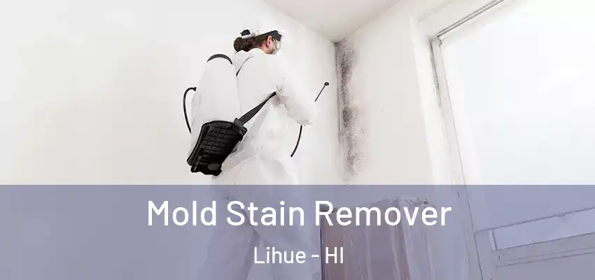  Mold Stain Remover Lihue - HI