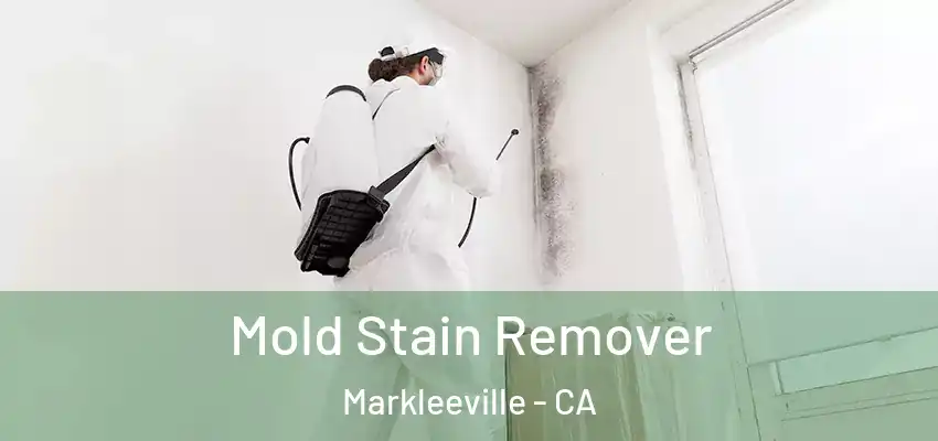  Mold Stain Remover Markleeville - CA