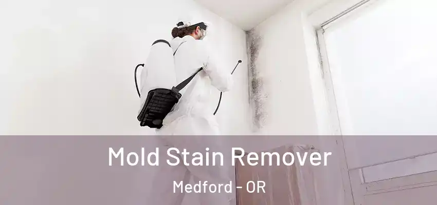 Mold Stain Remover Medford - OR