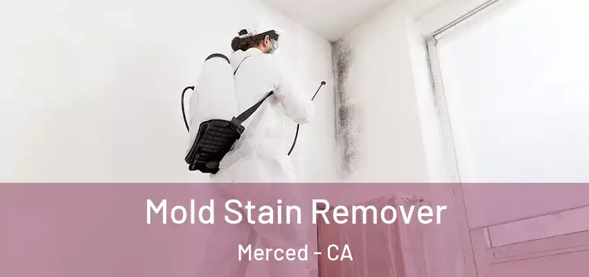  Mold Stain Remover Merced - CA