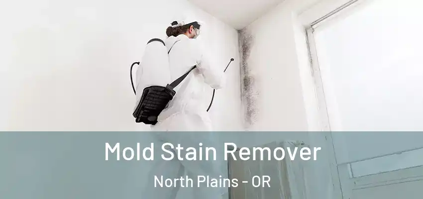 Mold Stain Remover North Plains - OR