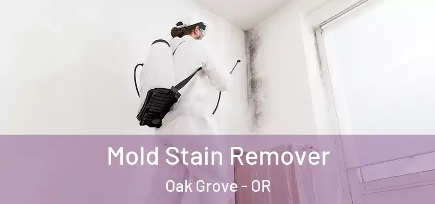  Mold Stain Remover Oak Grove - OR
