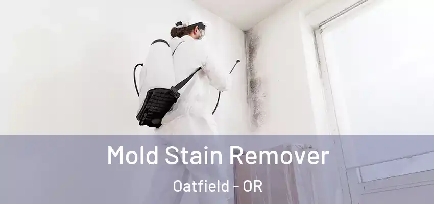  Mold Stain Remover Oatfield - OR