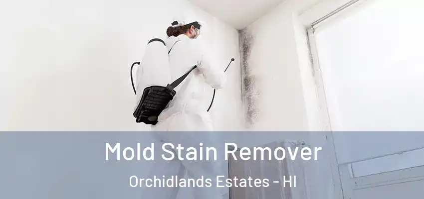  Mold Stain Remover Orchidlands Estates - HI