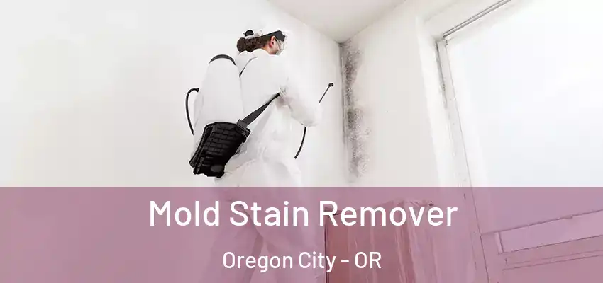  Mold Stain Remover Oregon City - OR