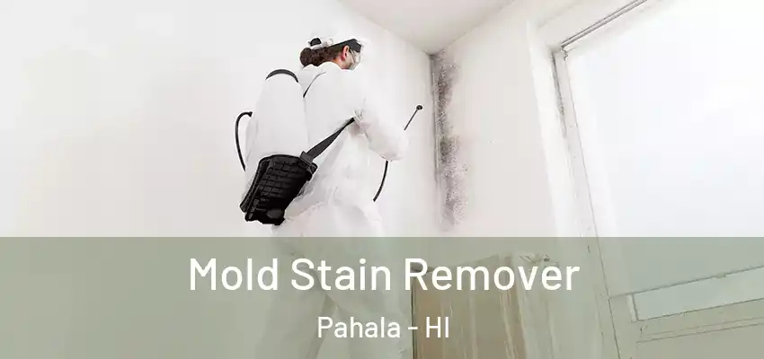  Mold Stain Remover Pahala - HI