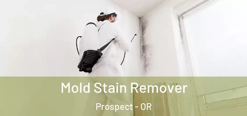  Mold Stain Remover Prospect - OR