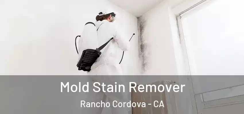 Mold Stain Remover Rancho Cordova - CA