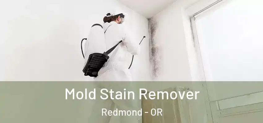  Mold Stain Remover Redmond - OR