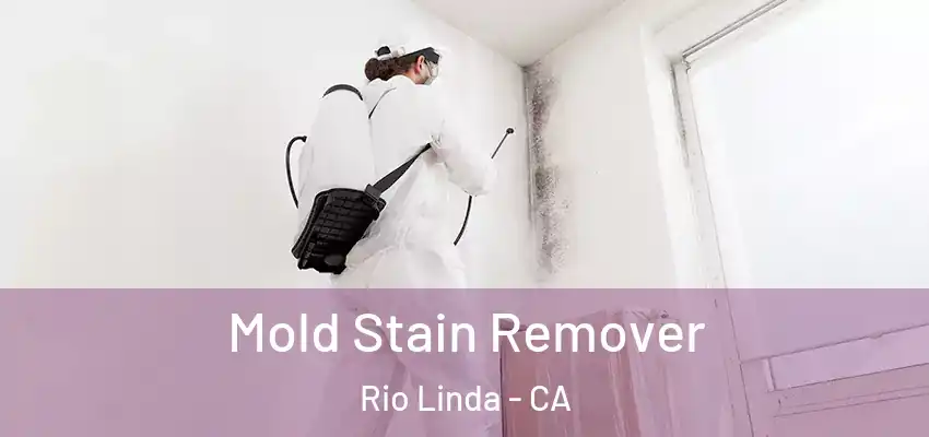 Mold Stain Remover Rio Linda - CA