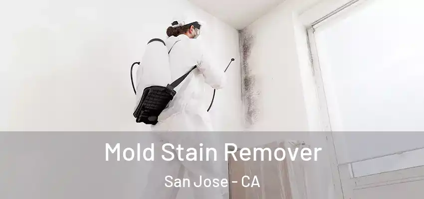 Mold Stain Remover San Jose - CA