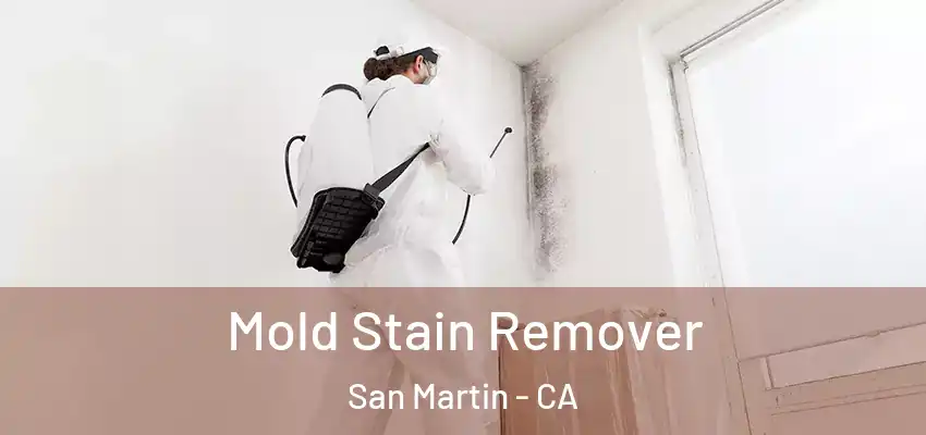  Mold Stain Remover San Martin - CA