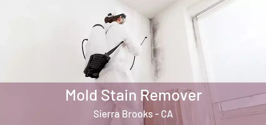 Mold Stain Remover Sierra Brooks - CA
