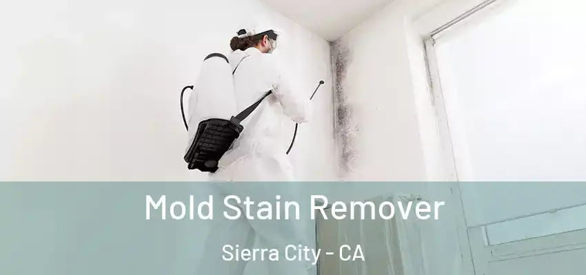  Mold Stain Remover Sierra City - CA