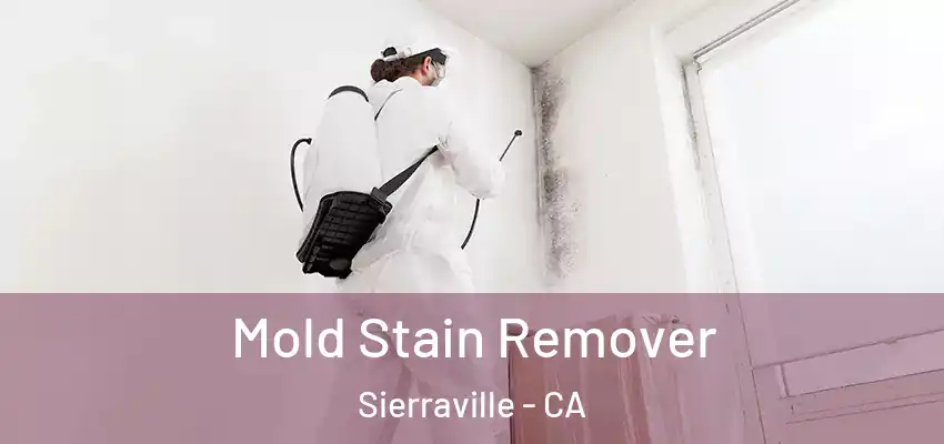  Mold Stain Remover Sierraville - CA