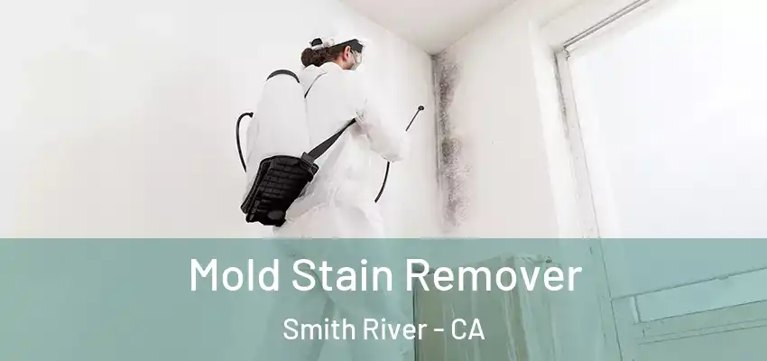  Mold Stain Remover Smith River - CA