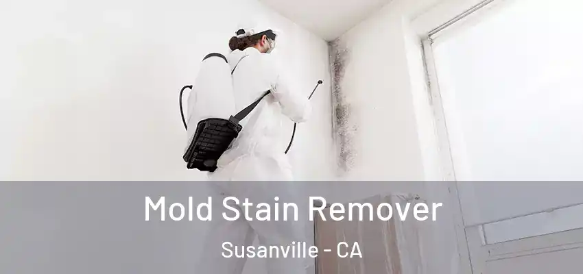 Mold Stain Remover Susanville - CA