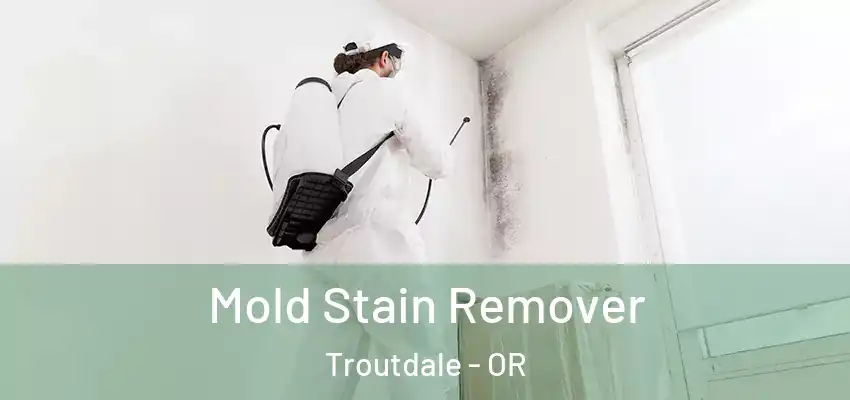  Mold Stain Remover Troutdale - OR
