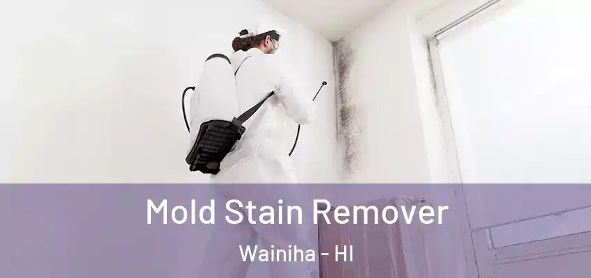  Mold Stain Remover Wainiha - HI