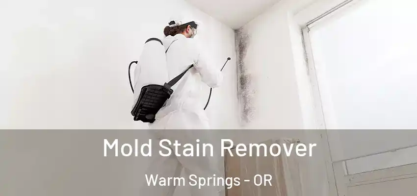 Mold Stain Remover Warm Springs - OR