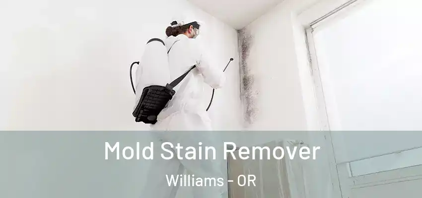  Mold Stain Remover Williams - OR