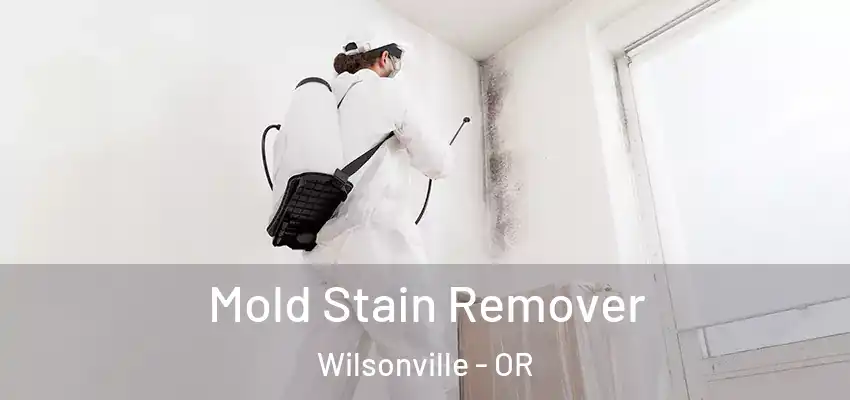  Mold Stain Remover Wilsonville - OR