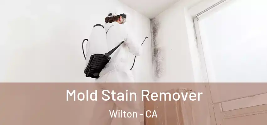  Mold Stain Remover Wilton - CA