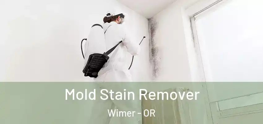  Mold Stain Remover Wimer - OR