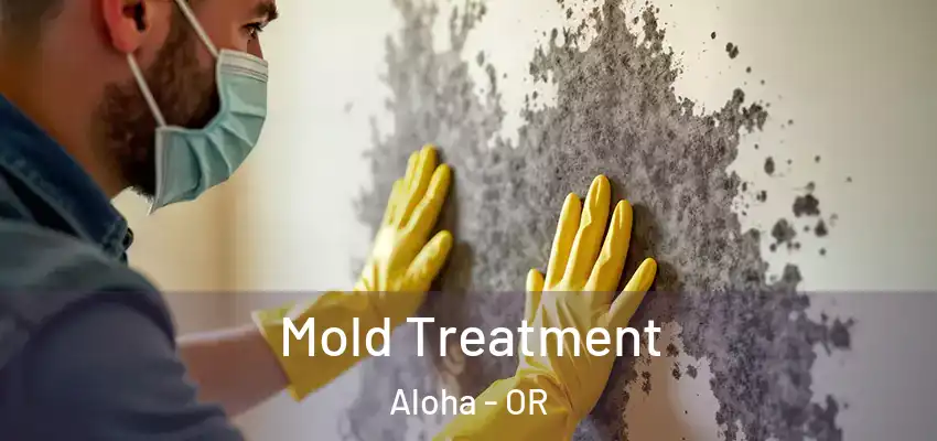  Mold Treatment Aloha - OR