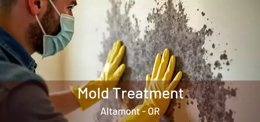 Mold Treatment Altamont - OR