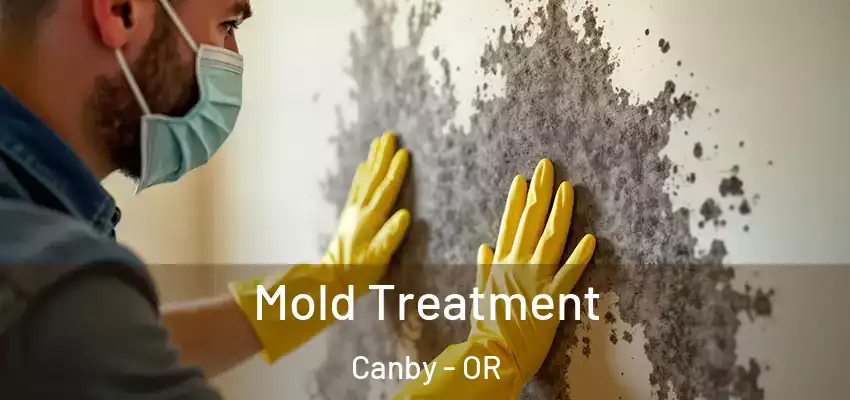  Mold Treatment Canby - OR