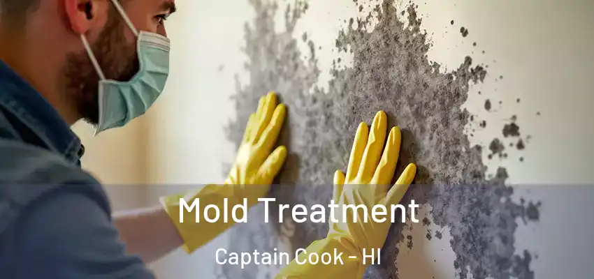 Mold Treatment Captain Cook - HI