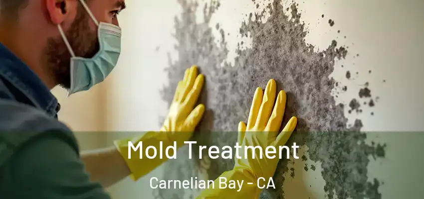  Mold Treatment Carnelian Bay - CA