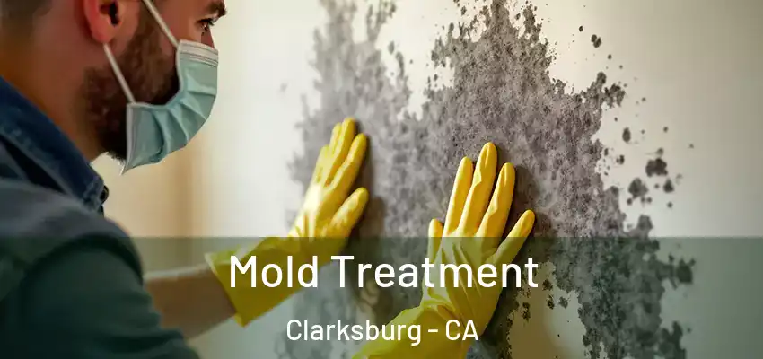  Mold Treatment Clarksburg - CA