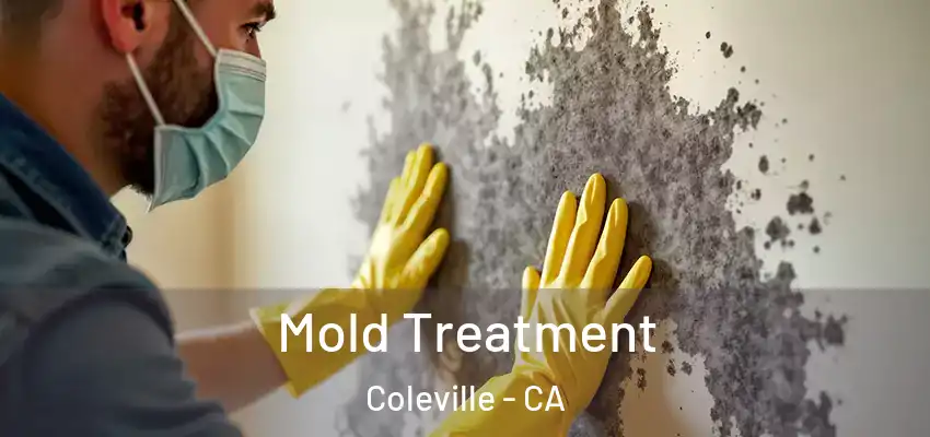  Mold Treatment Coleville - CA