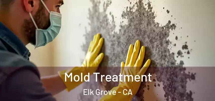  Mold Treatment Elk Grove - CA
