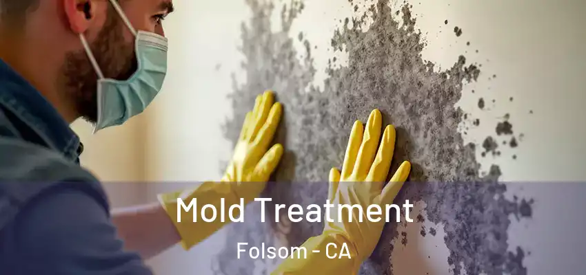 Mold Treatment Folsom - CA