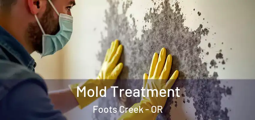  Mold Treatment Foots Creek - OR