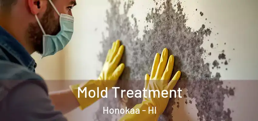 Mold Treatment Honokaa - HI